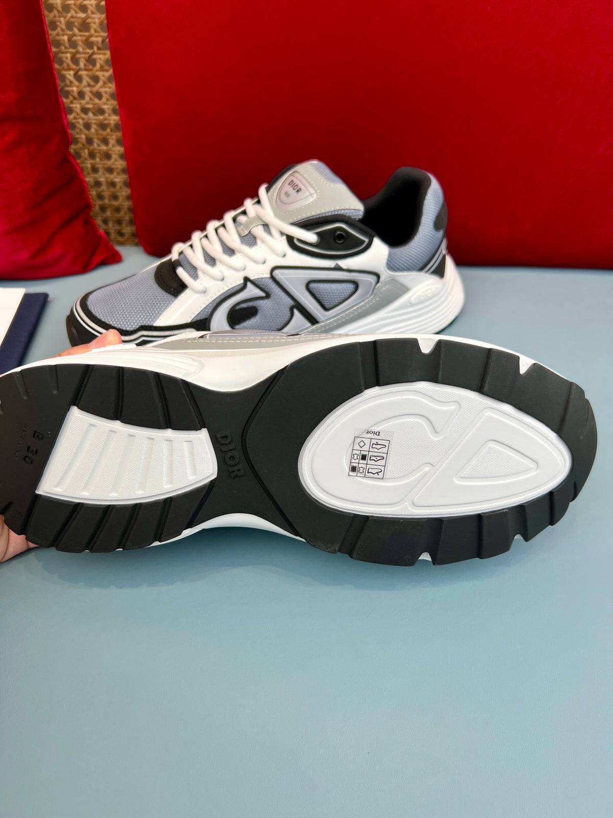 Dior B30 Sneaker
